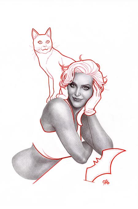 CATWOMAN #70 CVR B FRANK CHO CARD STOCK VARIANT 2024 Catwoman DC COMICS