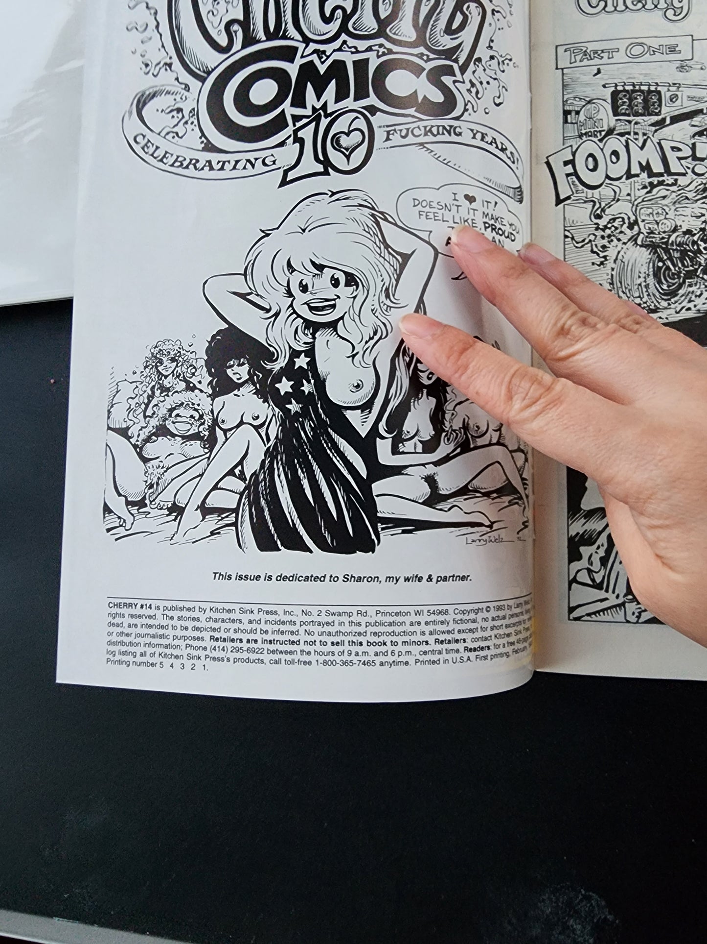 CHERRY #14 CHERRY COMICS