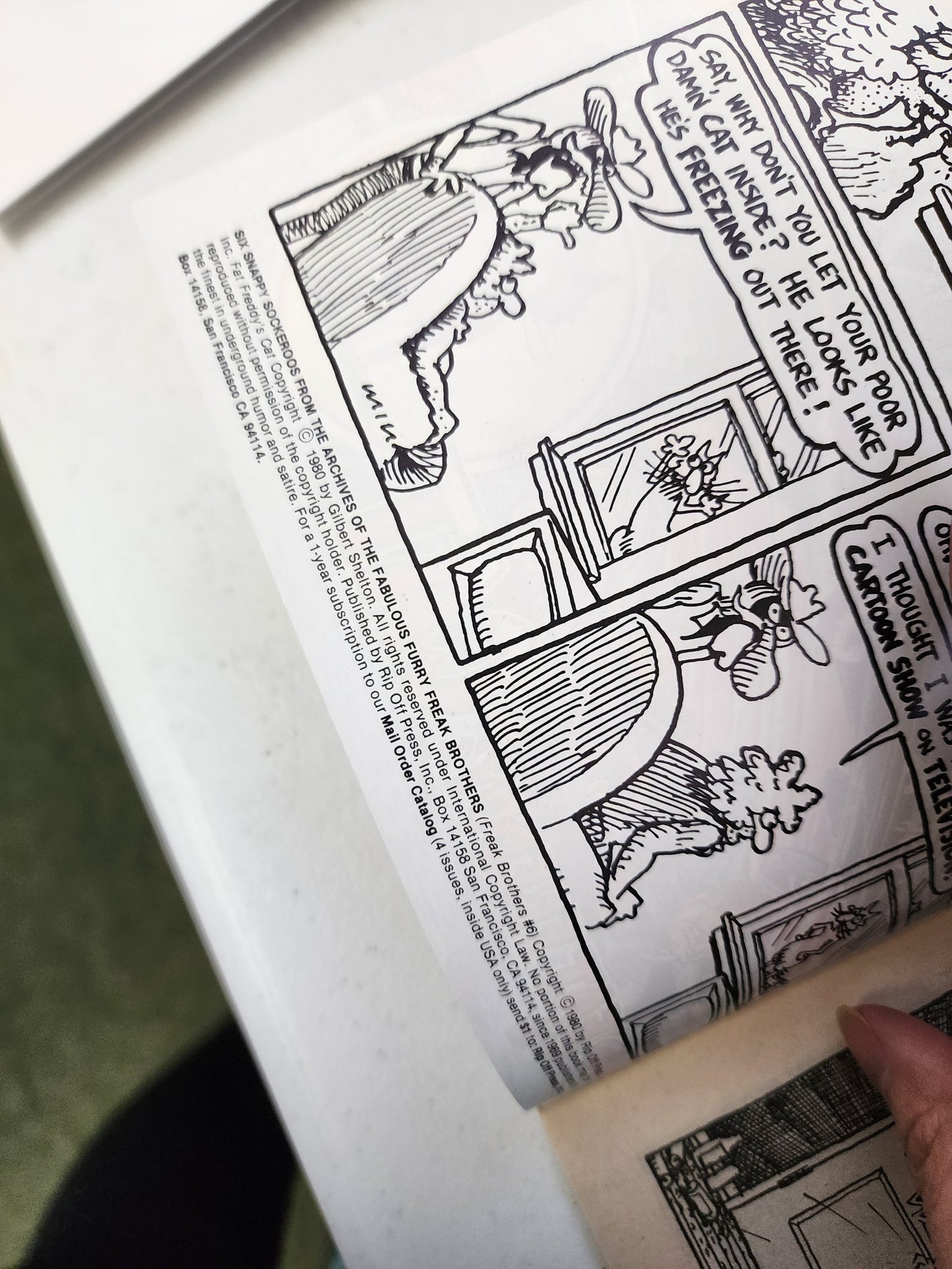 FABULOUS FURRY FREAK BROTHERS #6 3rd print RIP OFF PRESS