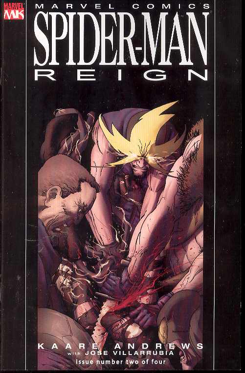 SPIDER-MAN REIGN #2 2007 Spider-Man MARVEL COMICS
