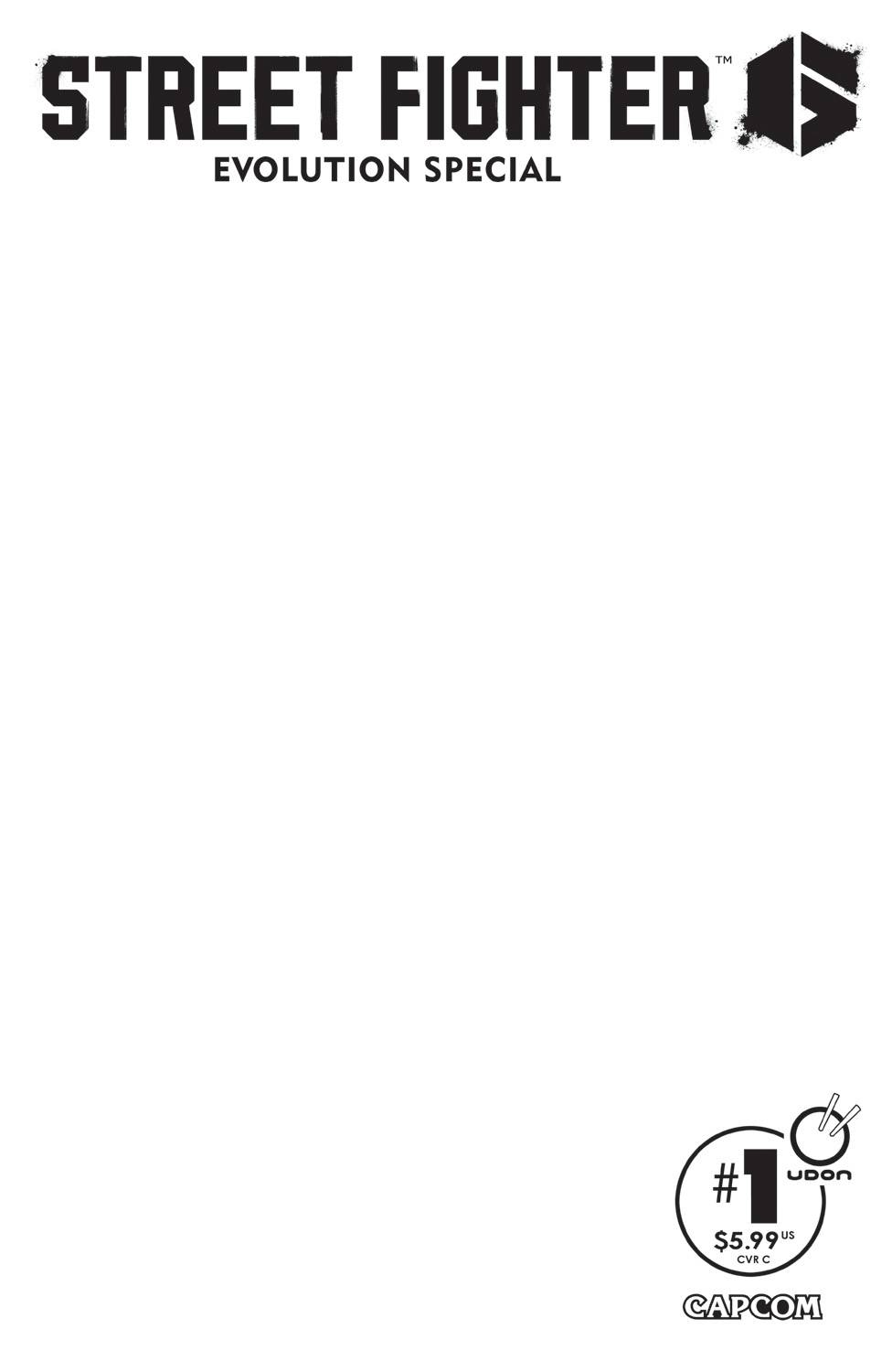 STREET FIGHTER 6 EVOLUTION SPECIAL #1 CVR C BLANK SKETCH VARIANT 2023 Street Fighter UDON ENTERTAINMENT INC