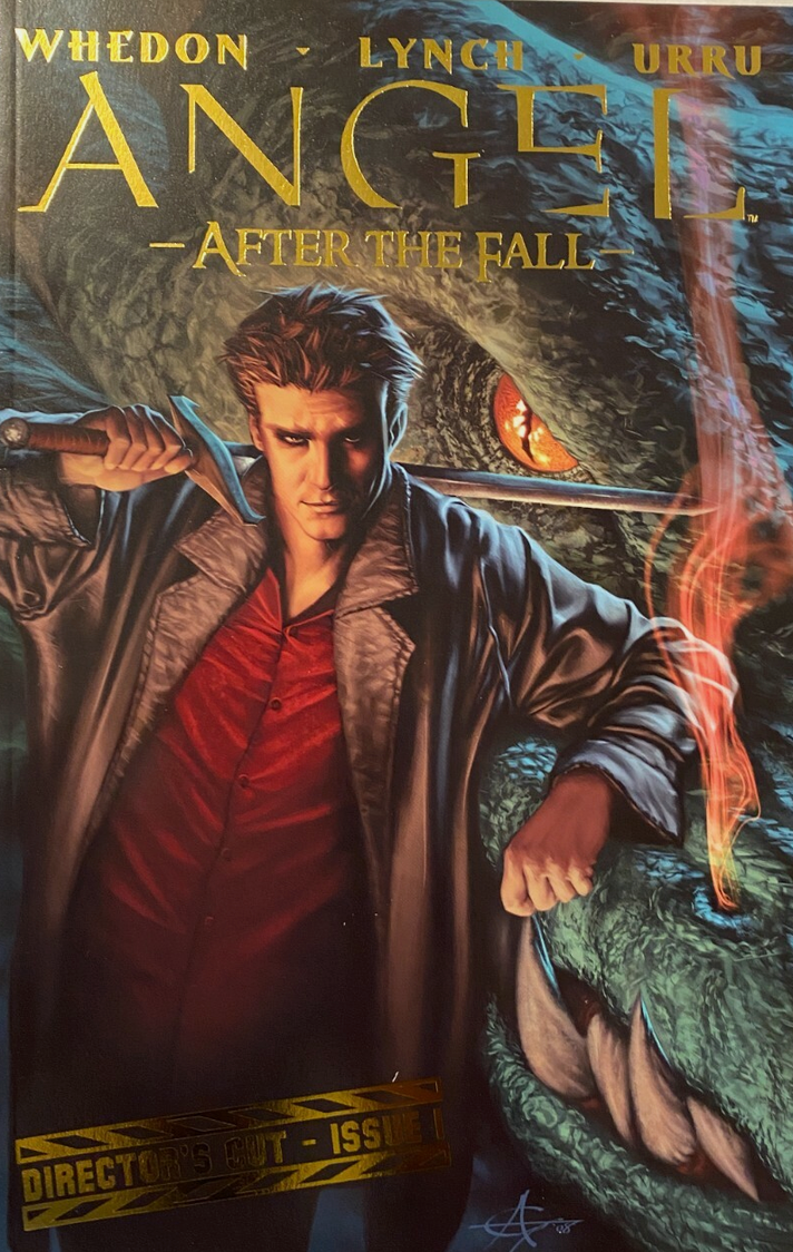 ANGEL AFTER THE FALL #1 DIRECTORS CUT FOIL 2008