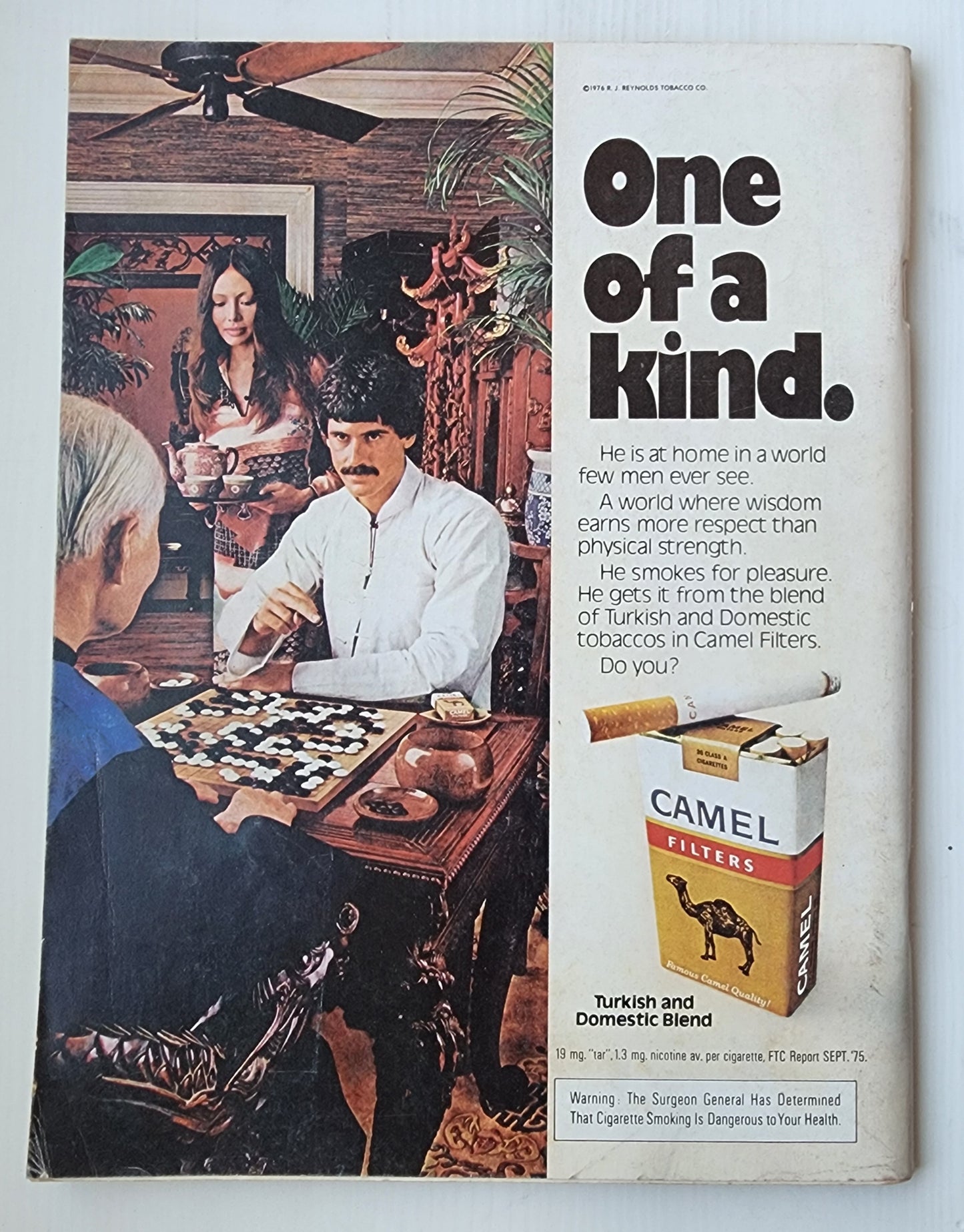 PLAYBOY MAGAZINE JUNE 1976 Playboy PLAYBOY