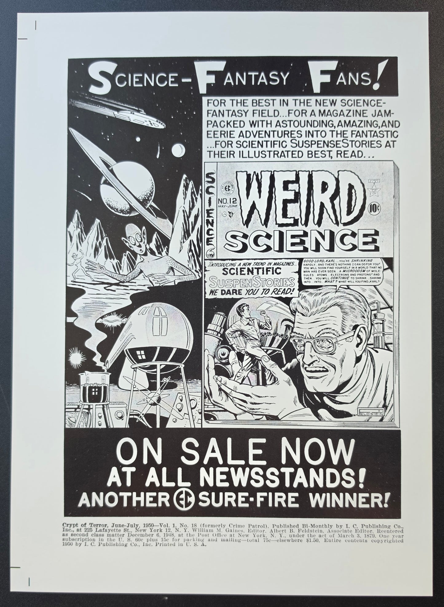 CRYPT OF TERROR #18 PRINT EC Comics EC Comics