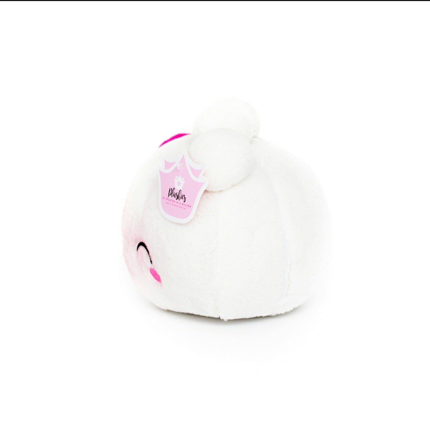 Steamie Plushie WONTON IN A MILLION