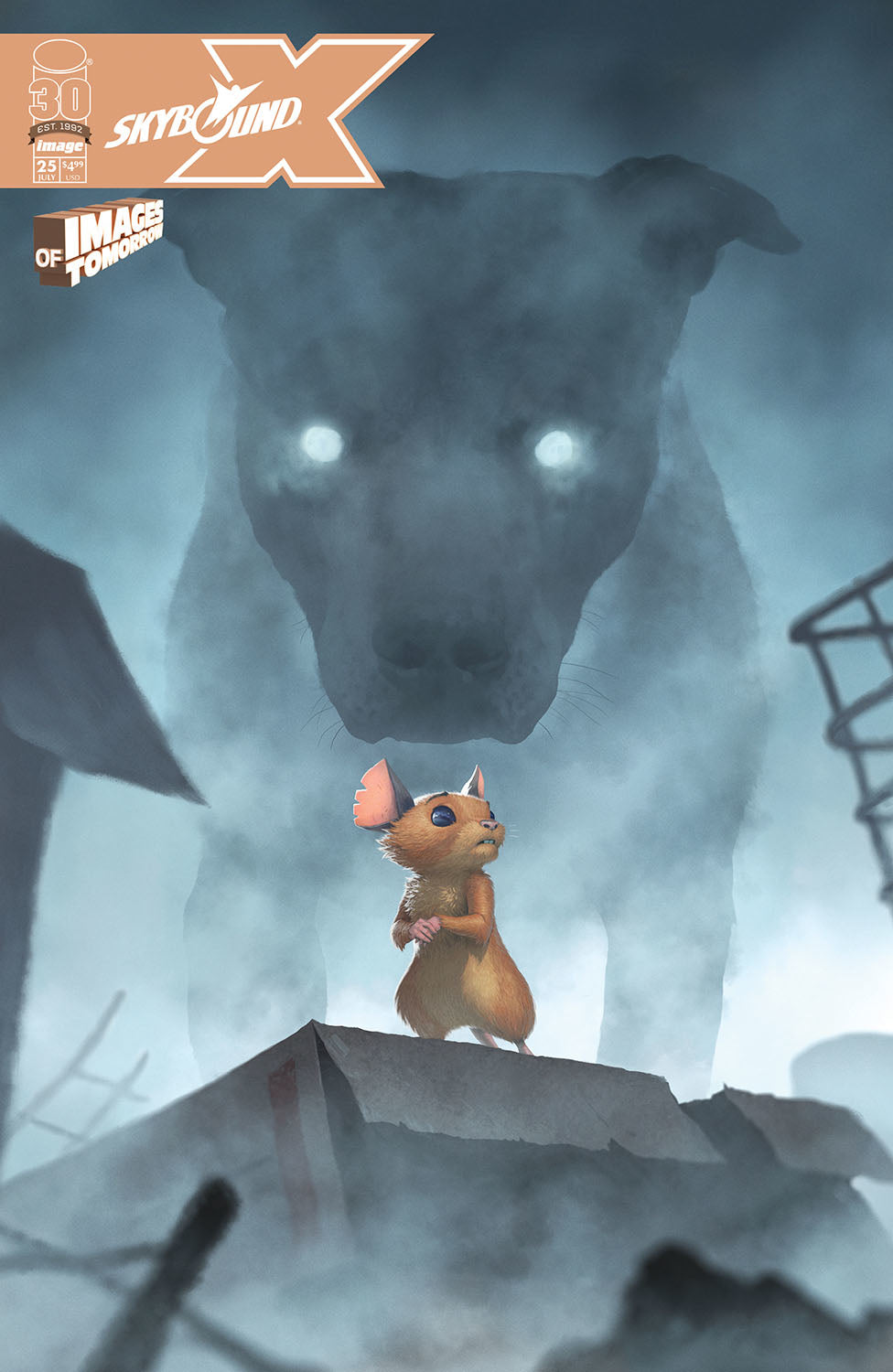 SKYBOUND X #25 CVR D SMITH (MR) 2022 Skybound IMAGE COMICS