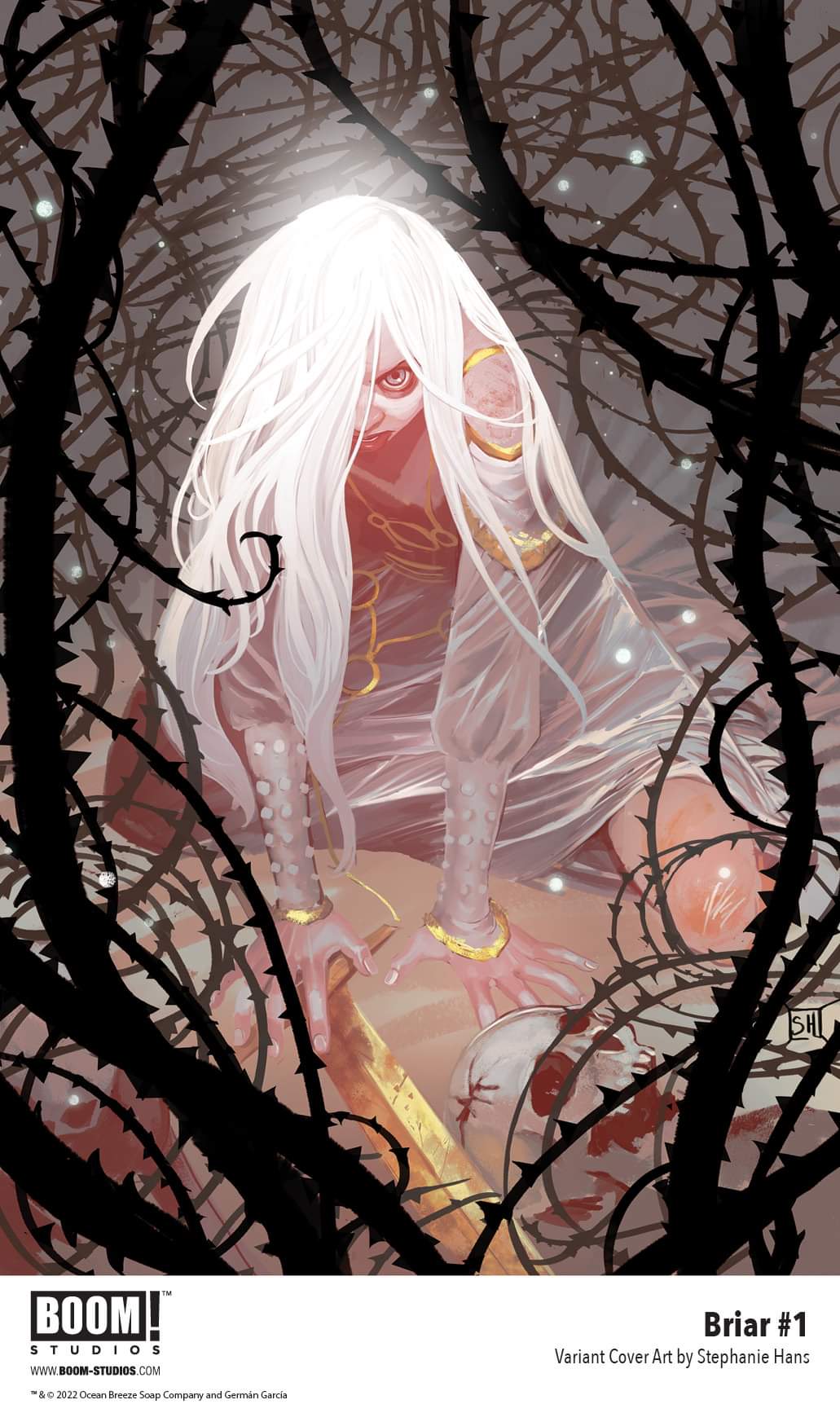 BRIAR #1 (OF 4) HANS VARIANT 2022 comic book BOOM! STUDIOS