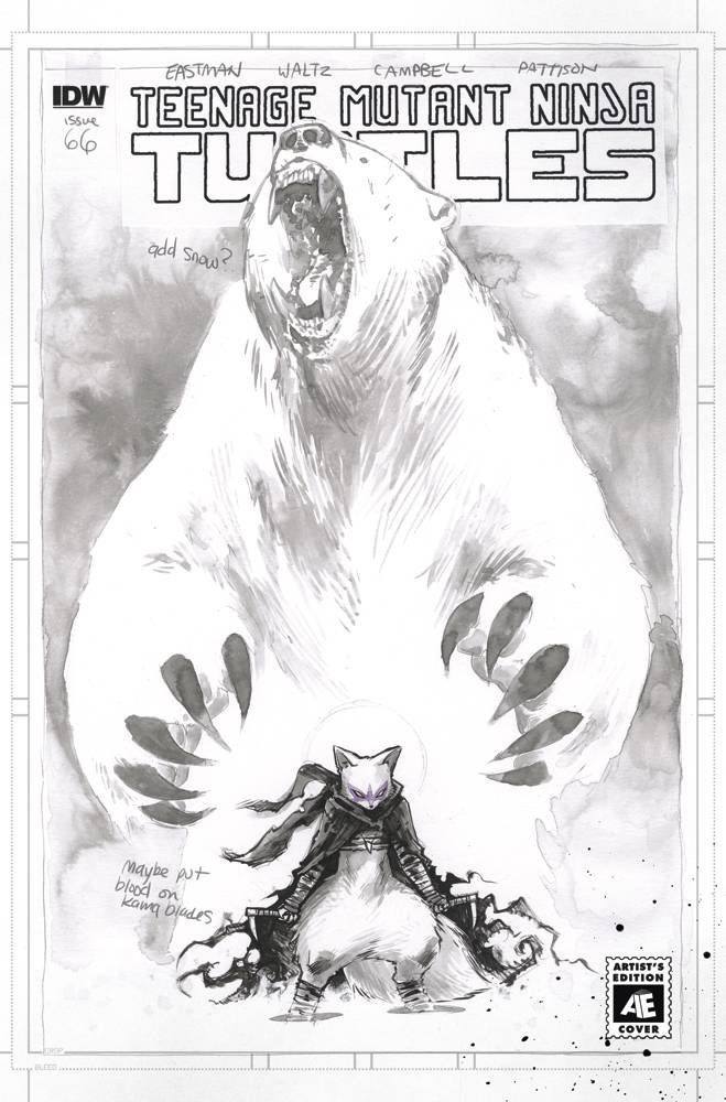 TMNT #66 CAMPBELL VARIANT 2017 (TEENAGE MUTANT NINJA TURTLES) comic book IDW PUBLISHING