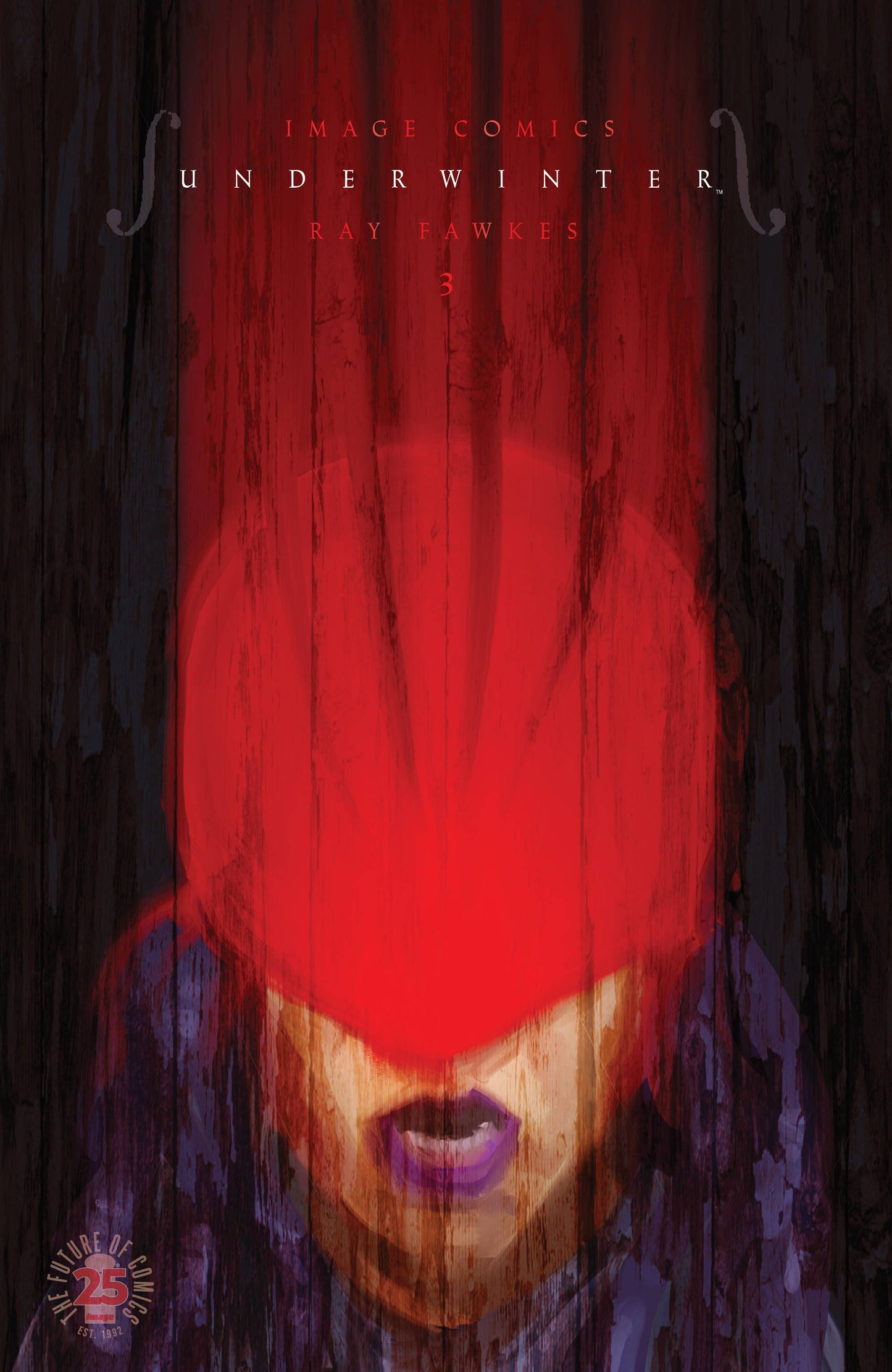 UNDERWINTER #3 CVR B ZDARSKY VARIANT 2017 comic book IMAGE COMICS