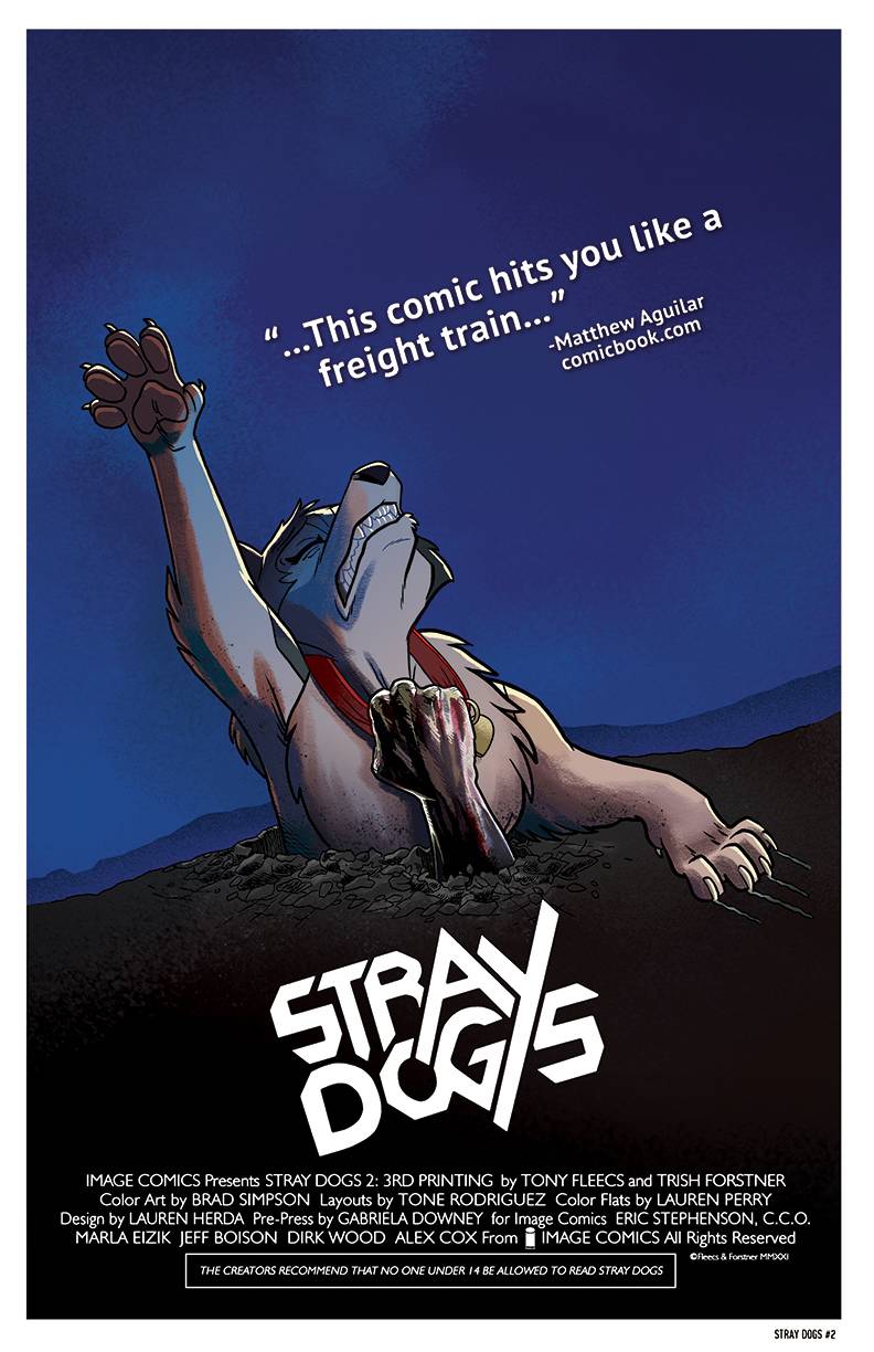 STRAY DOGS #2 3RD PRINT VARIANT 2021 comic book IMAGE COMICS