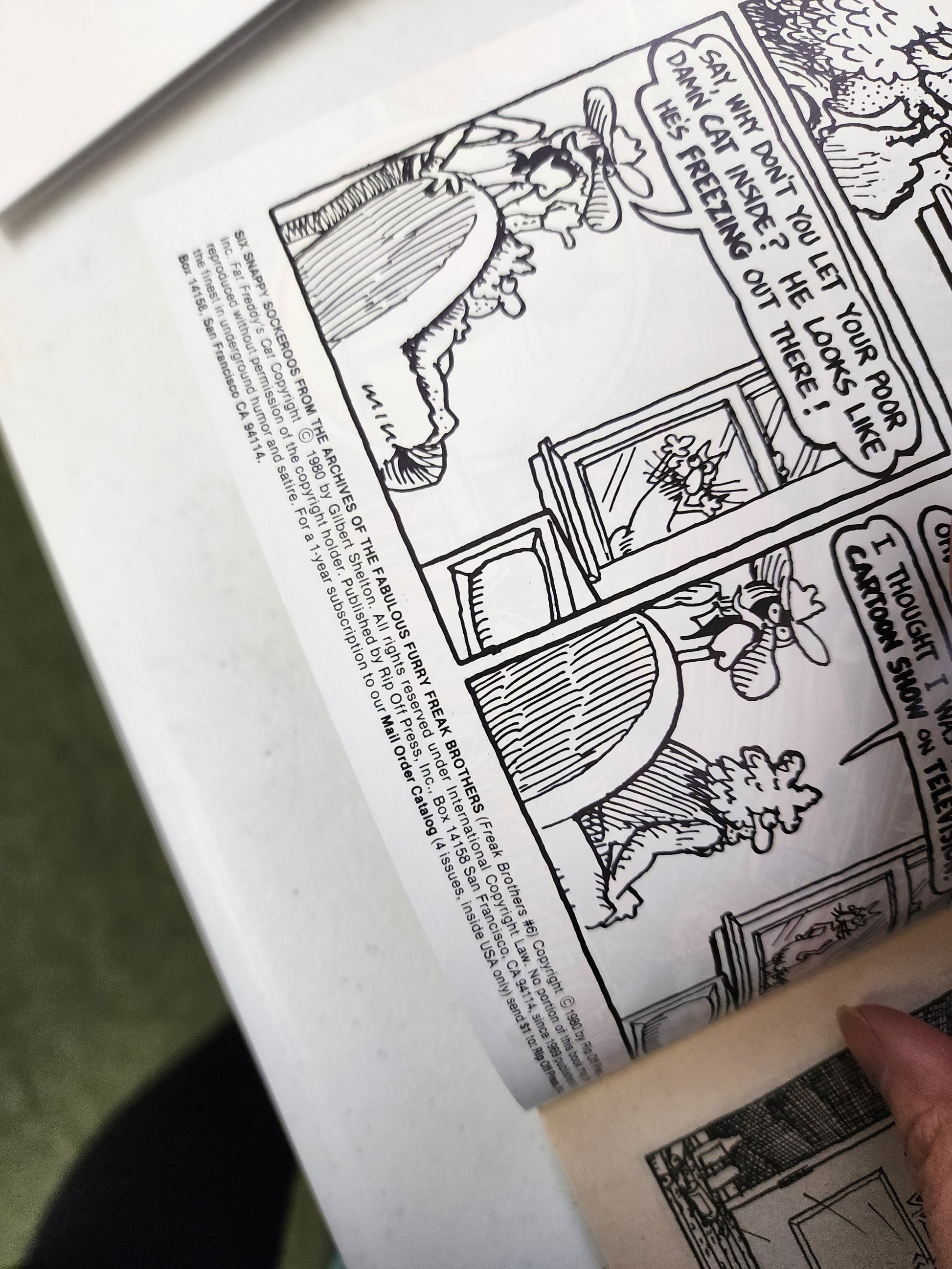 FABULOUS FURRY FREAK BROTHERS #6 3rd print RIP OFF PRESS