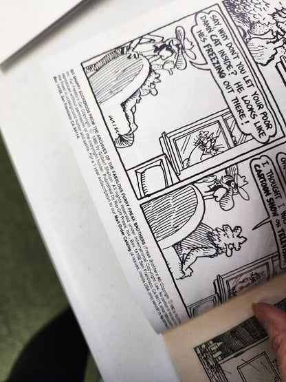 FABULOUS FURRY FREAK BROTHERS #6 3rd print RIP OFF PRESS