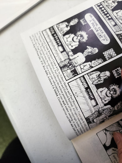 FABULOUS FURRY FREAK BROTHERS #12 RIP OFF PRESS