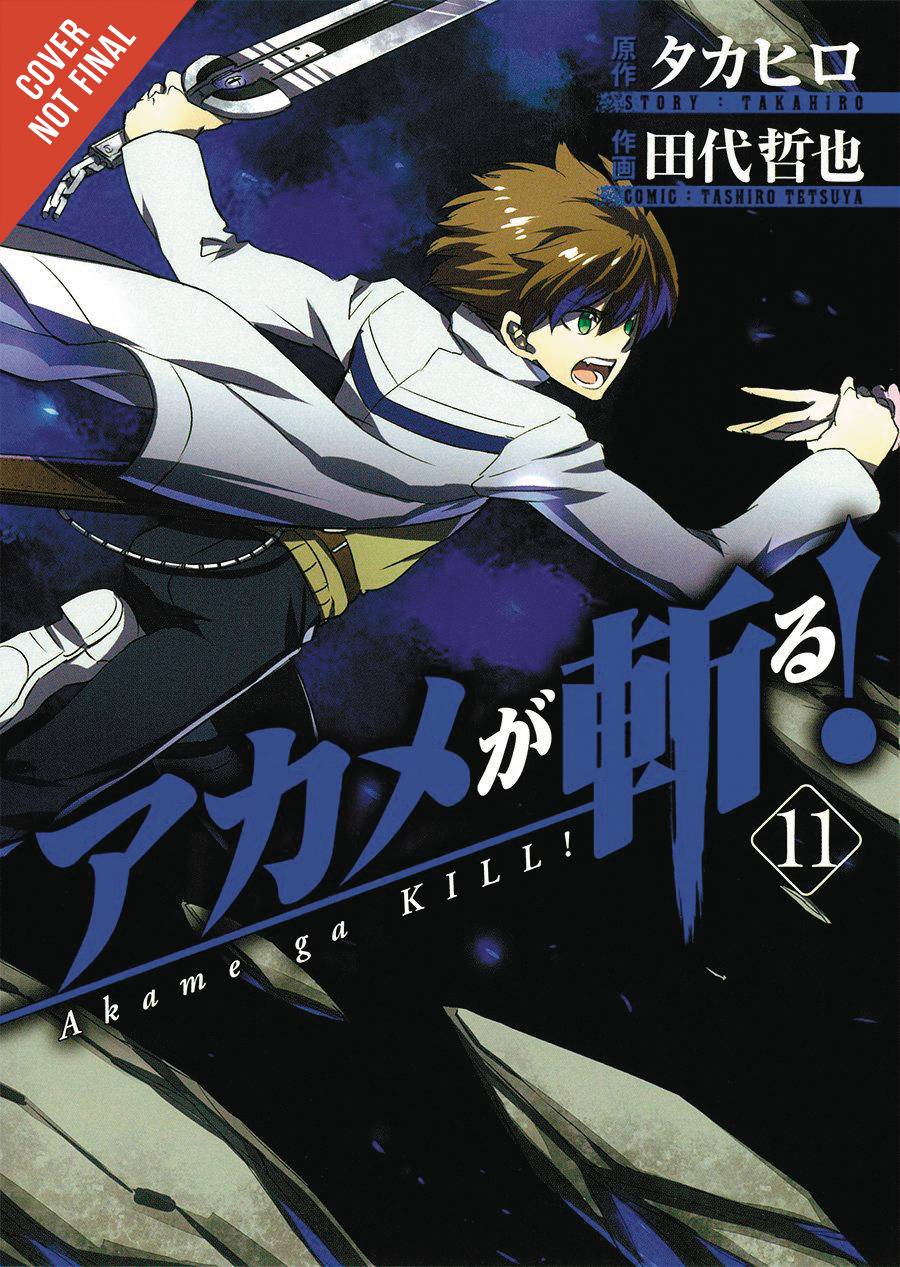 AKAME GA KILL GN VOL 11 YEN PRESS