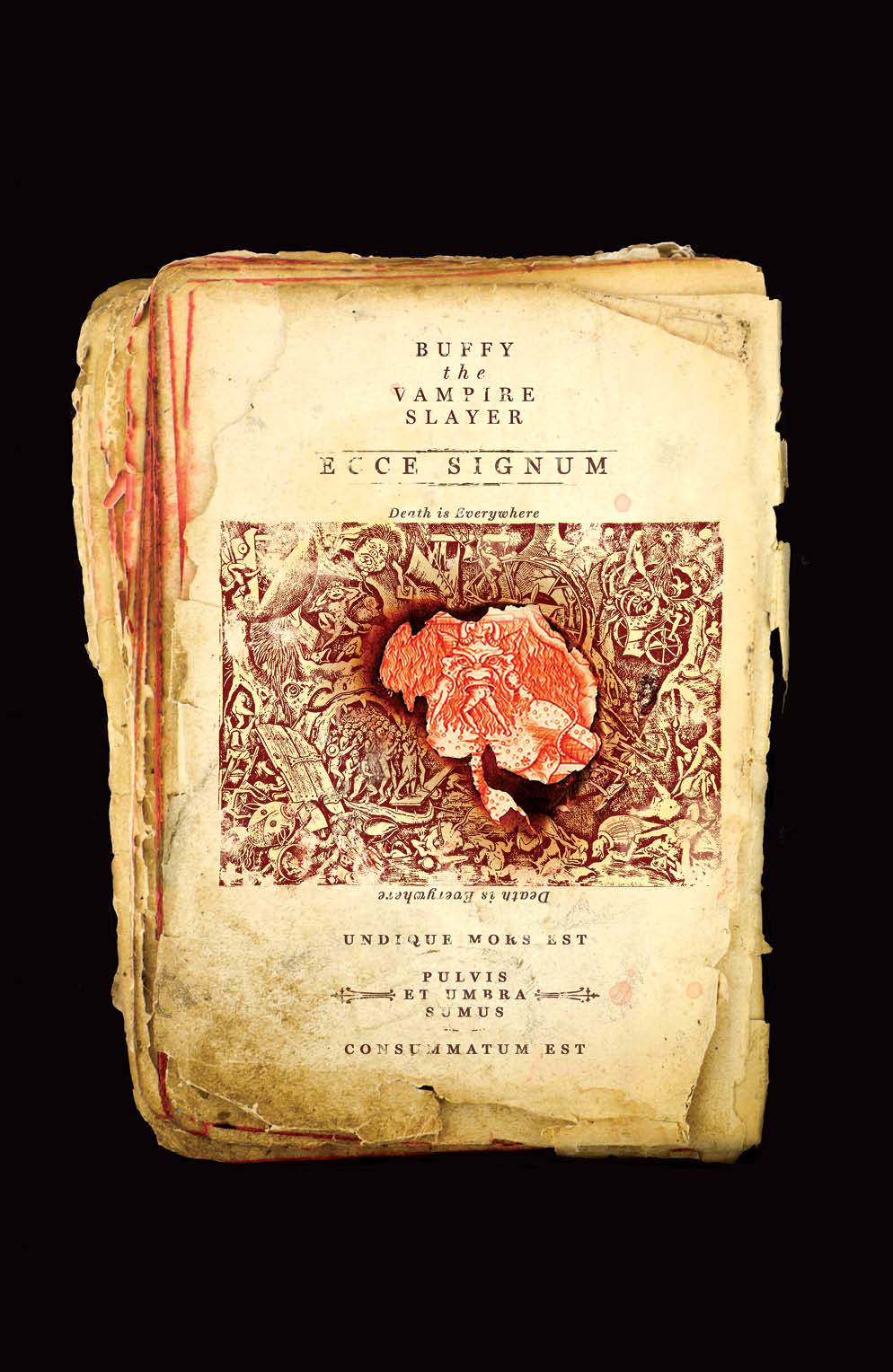 BUFFY THE VAMPIRE SLAYER #17 CVR C CAREY FIRE VARIANT 2020 Buffy the Vampire Slayer BOOM! STUDIOS