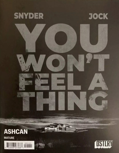 CITY BENEATH HER FEET YOU WONT FEEL A THING FLIPBOOK ASHCAN 2024