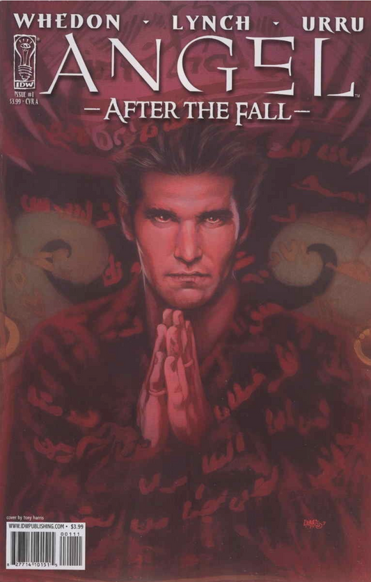 ANGEL AFTER THE FALL #1 COVER A 2007