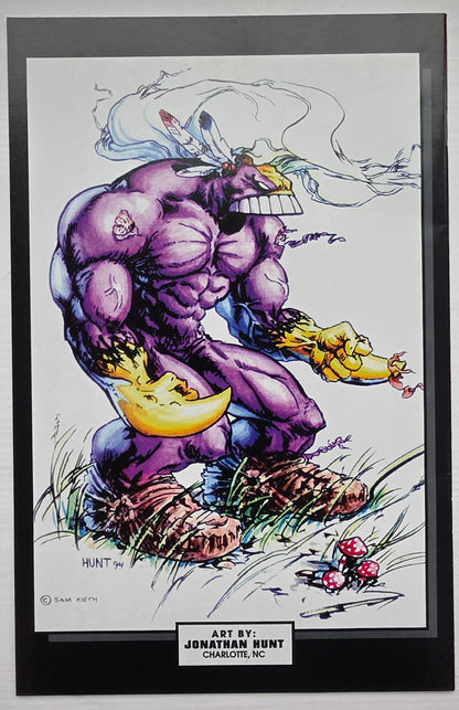 MAXX #11 1994 [J02] Maxx IMAGE COMICS