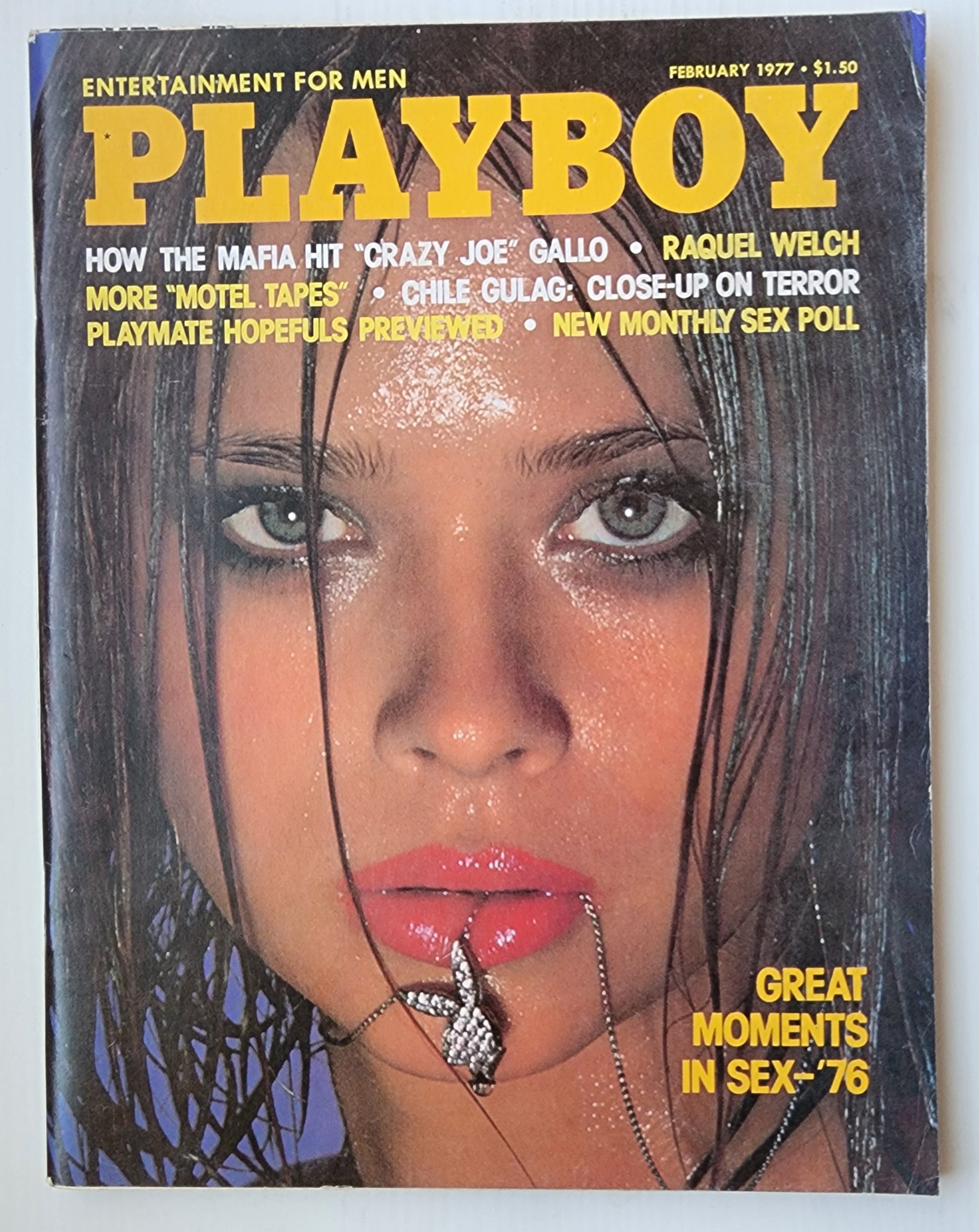 PLAYBOY MAGAZINE FEBRUARY 1977 Playboy PLAYBOY