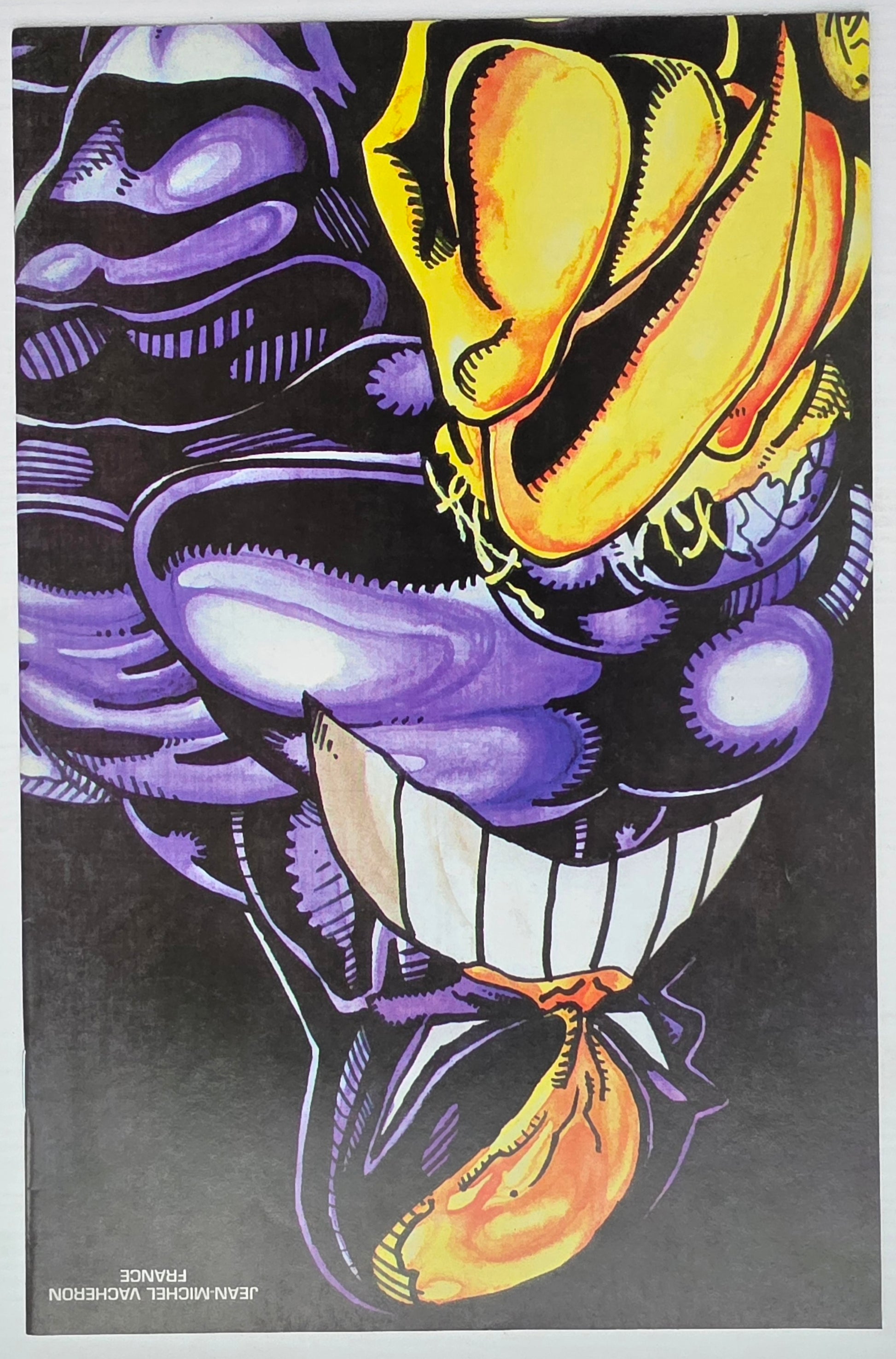 MAXX #13 1994 [J01] Maxx IMAGE COMICS