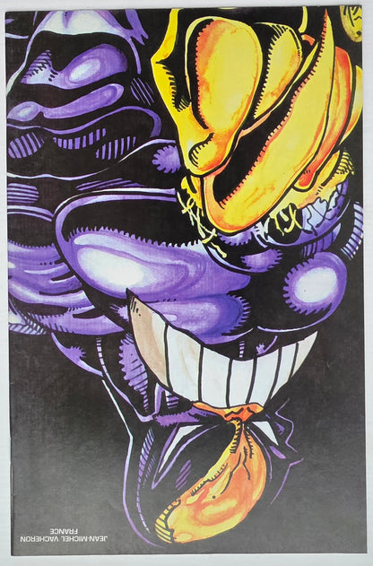 MAXX #13 1994 [J01] Maxx IMAGE COMICS