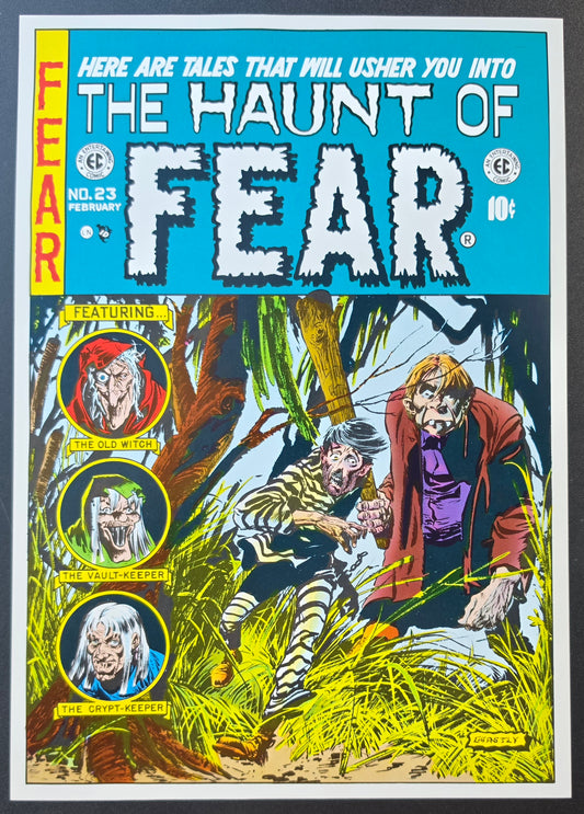 EC COMICS HAUNT OF FEAR #23 1982 POSTER PRINT 13"x9" EC Comics EC Comics