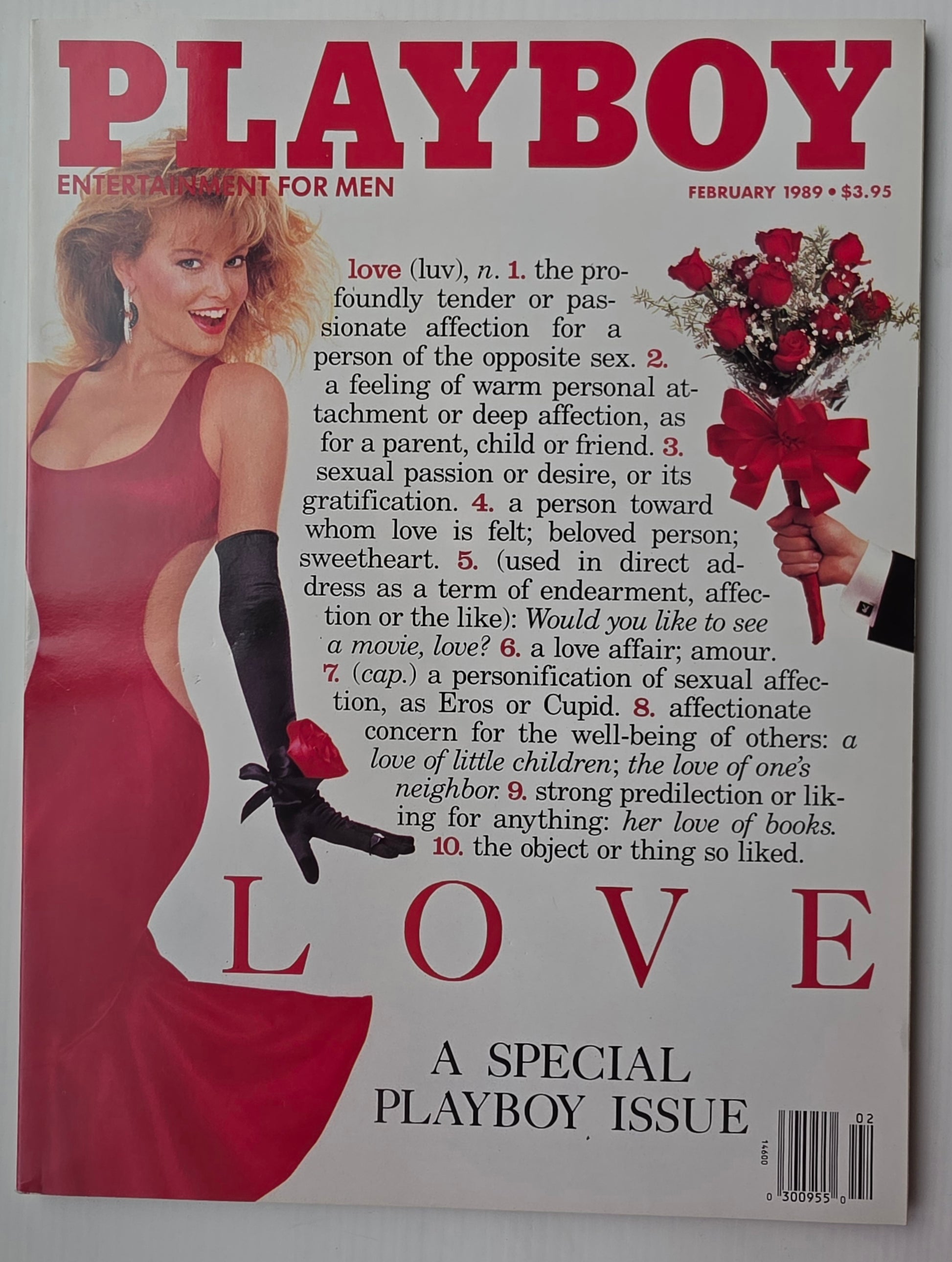 1989 PLAYBOY MAGAZINE FEBRUARY Playboy PLAYBOY
