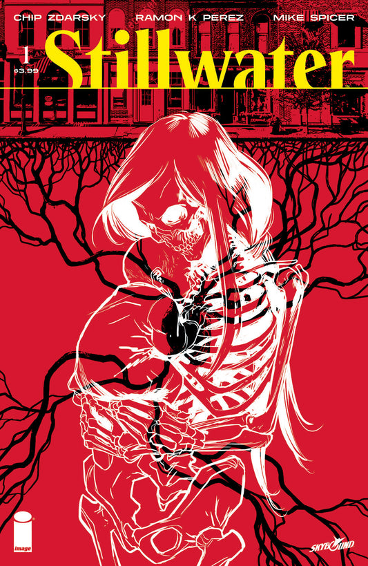 STILLWATER BY ZDARSKY & PEREZ #1 1ST PRINT (MR) 2020 Stillwater IMAGE COMICS