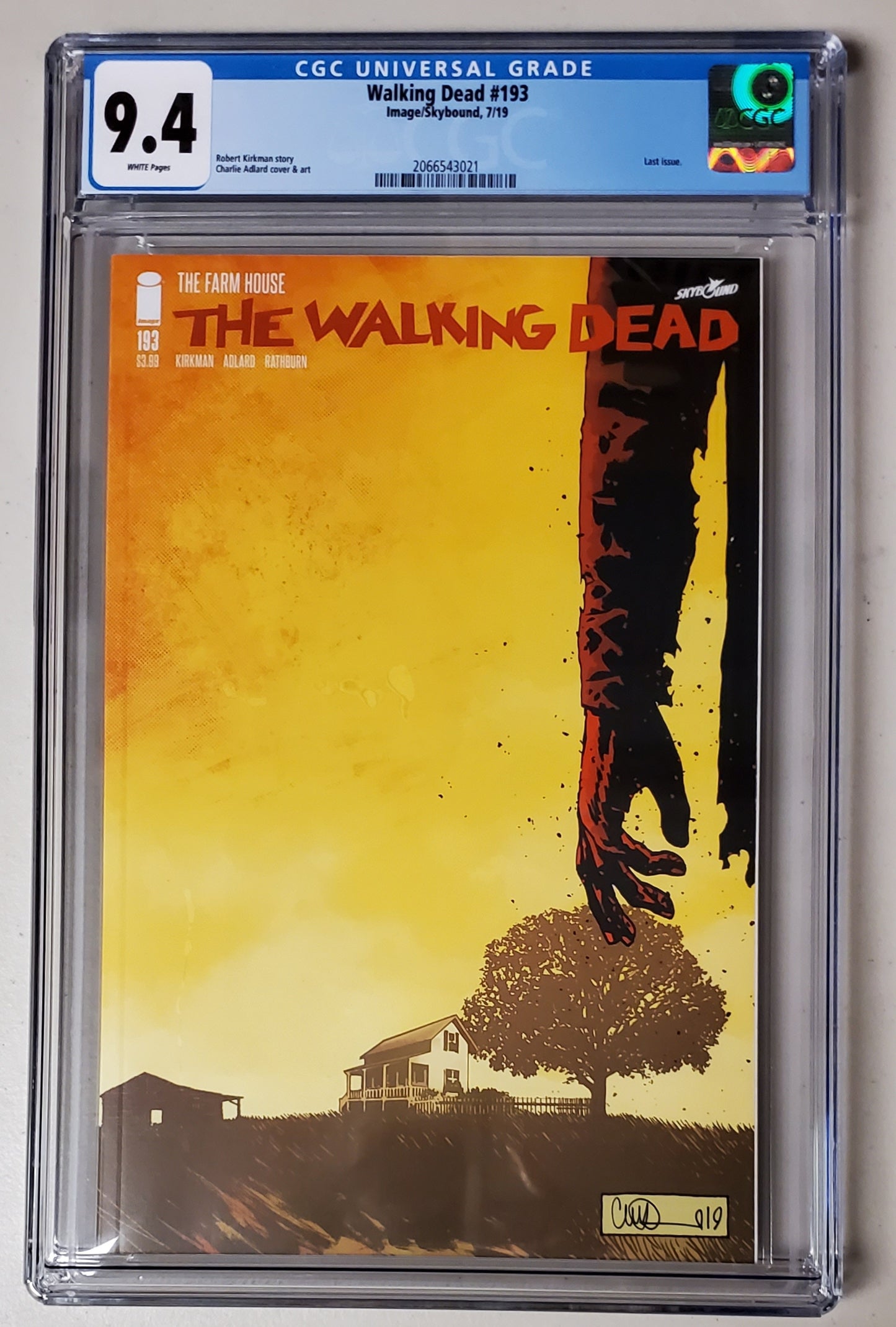 9.4 CGC Walking Dead #193 1st Print Last Issue 2019 [2066543021]
