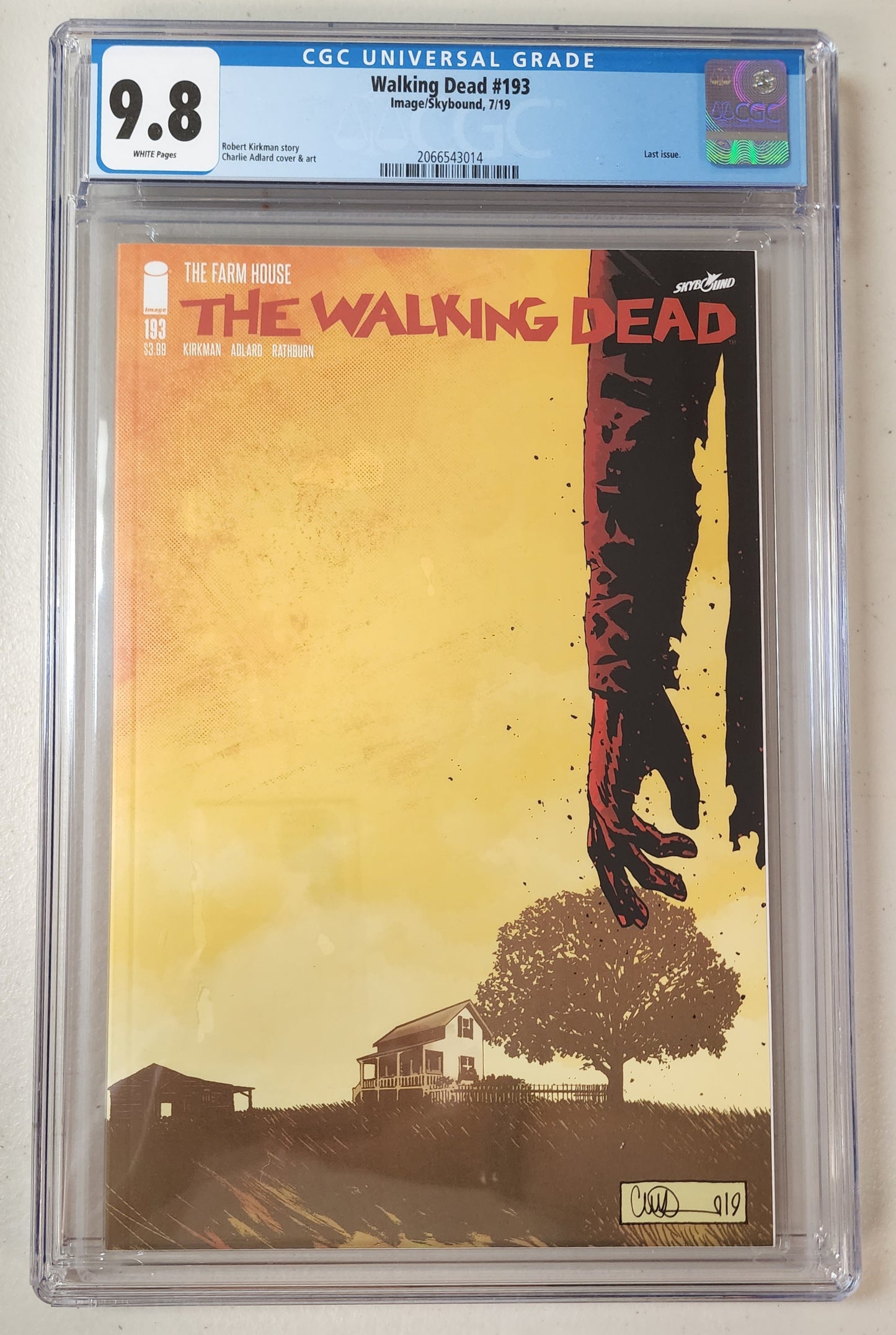 9.8 CGC Walking Dead #193 1st Print Last Issue 2019 [2066543014]