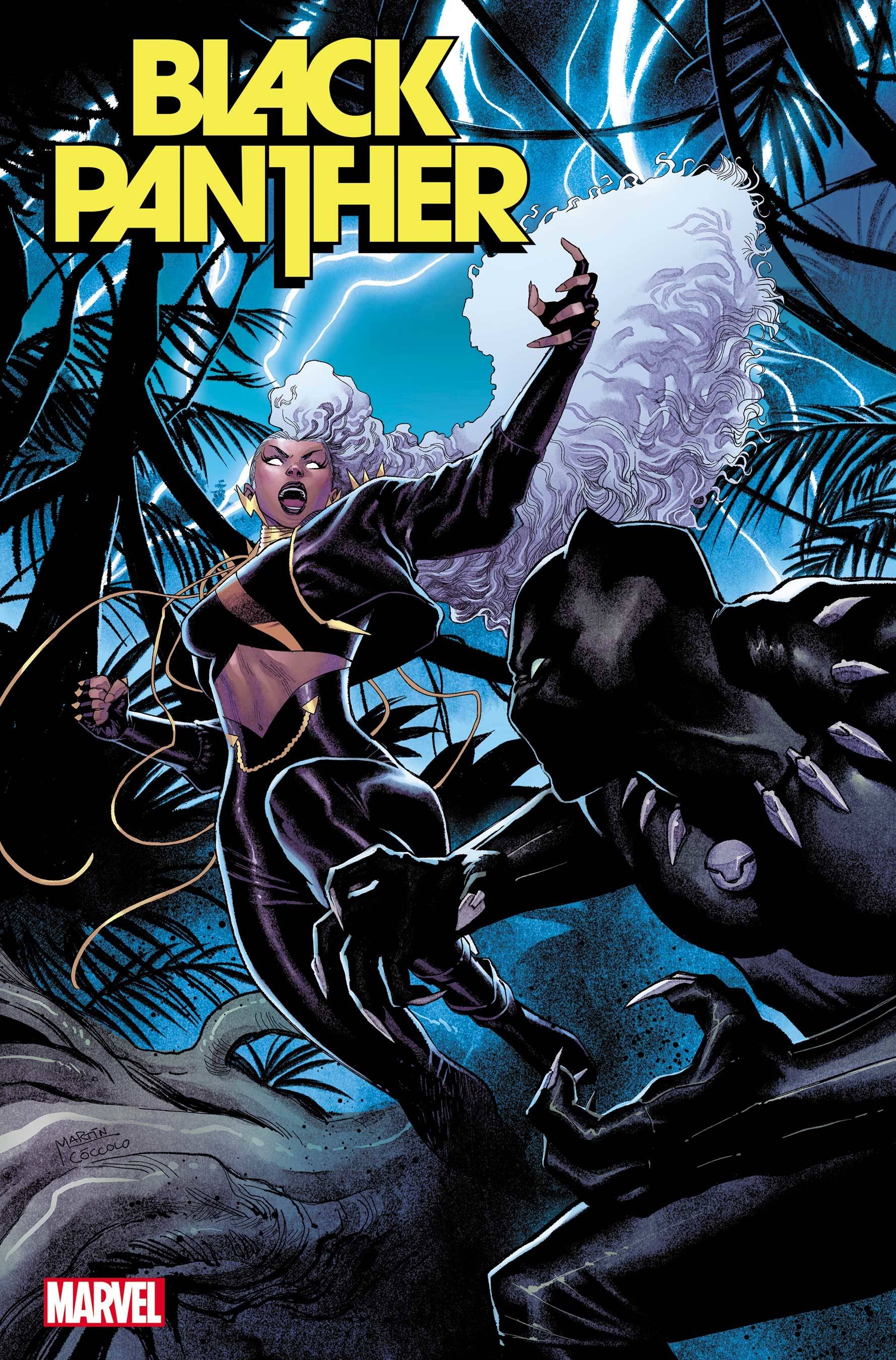 BLACK PANTHER #6 1:25 VARIANT 2022 Black Panther MARVEL PRH   