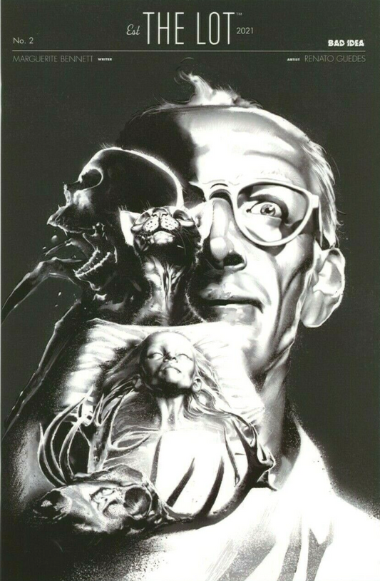 THE LOT #2 2021 COMIC BOOK BAD IDEA   