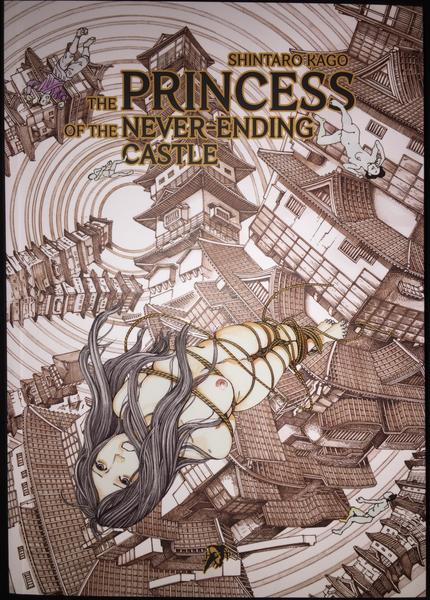 The Princess of the Never-Ending Castle (Pocket Edition) SHINTARO KAGO